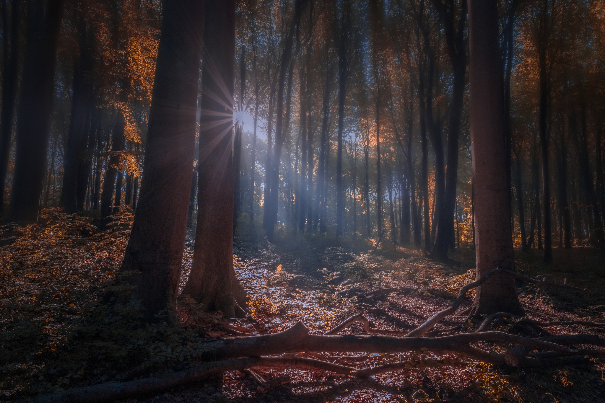 Krajobraz — Głębia Bycia, 45 z 50