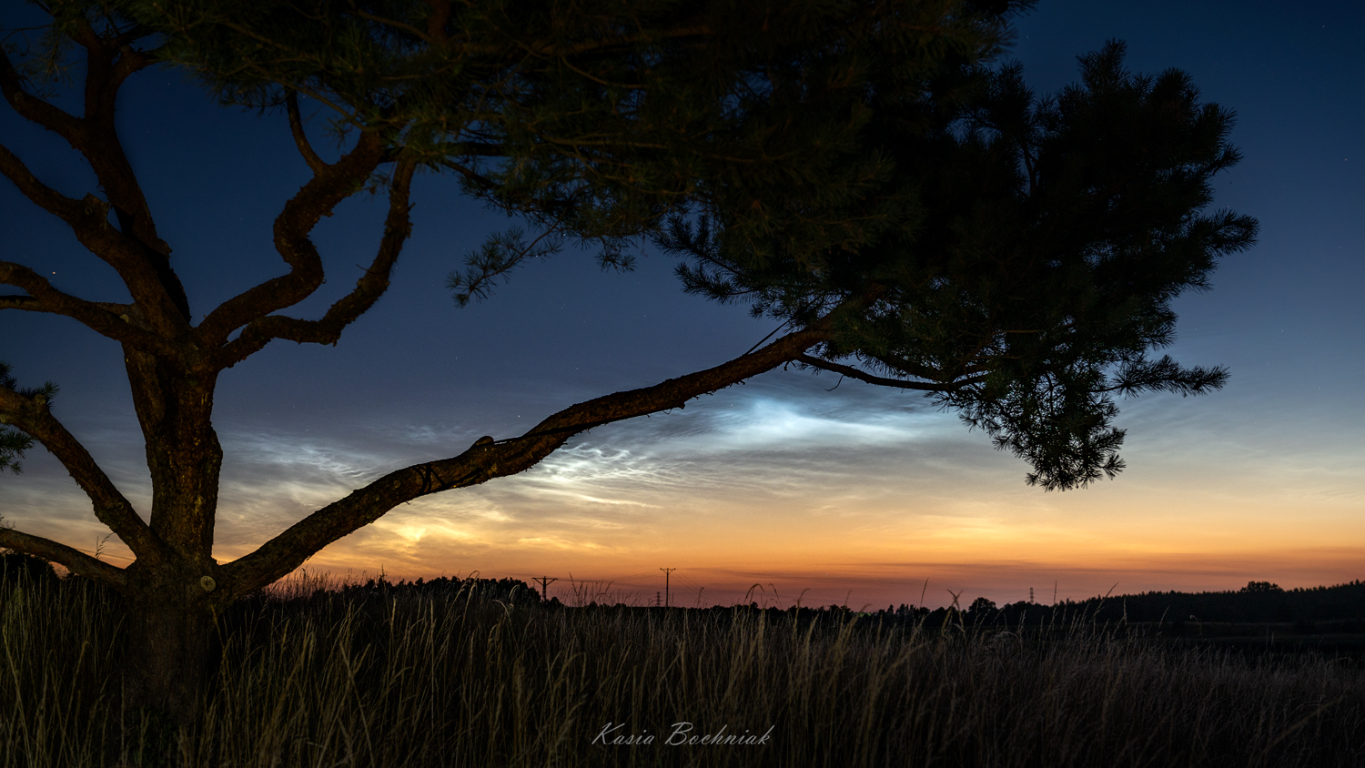 Krajobraz — Głębia naturalności, 9 z 49