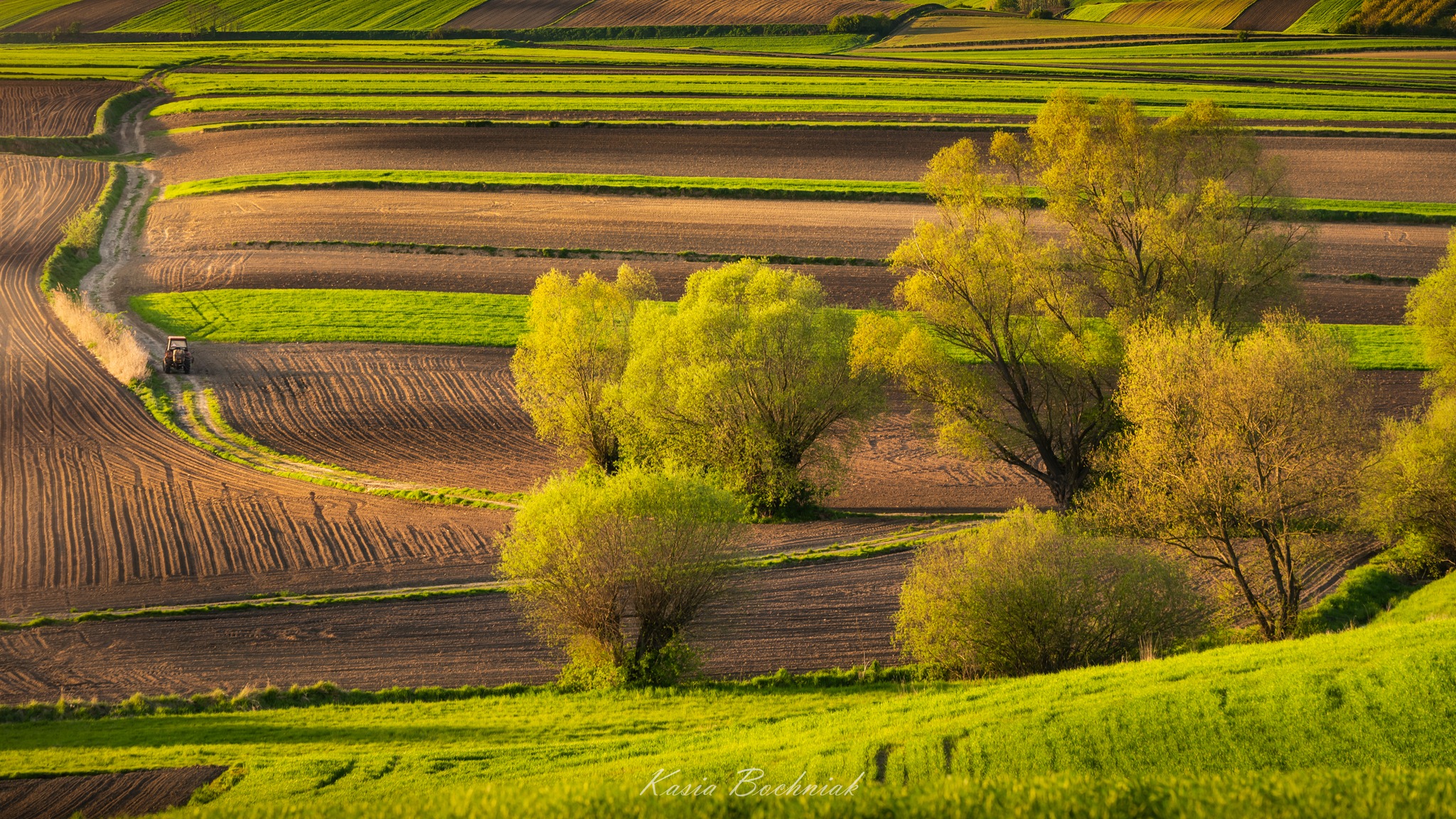 Krajobraz — Głębia naturalności, 22 z 49