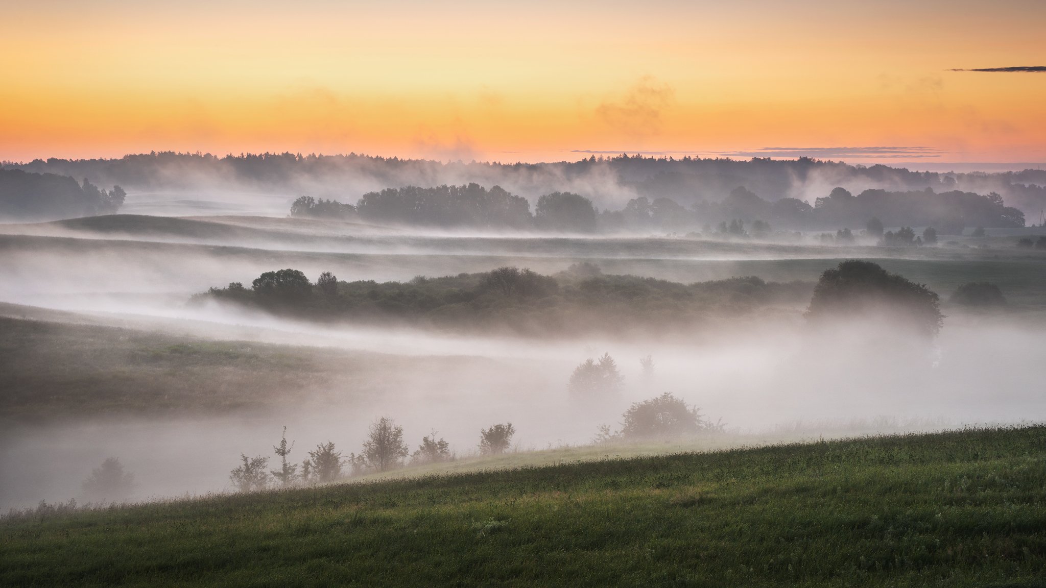 Krajobraz — Głębia naturalności, 34 z 49