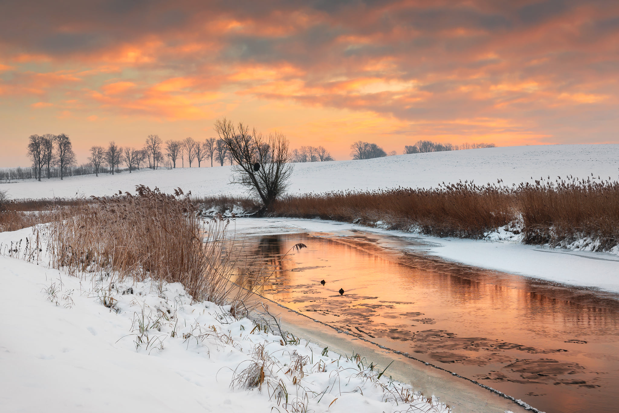 Krajobraz — Głębia naturalności, 46 z 49